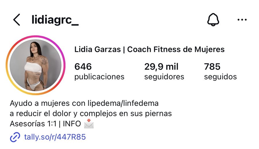 Perfil de Lidia antes — 29,9K seguidores